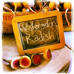 watermelon-radish